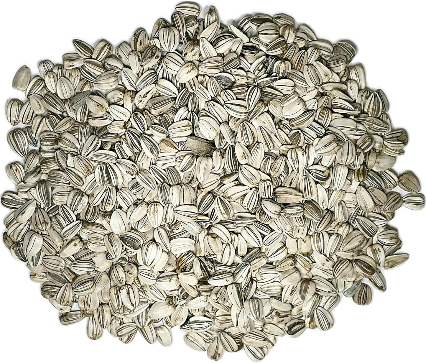 Classic Gold F1 Sunflower | Sunflower Seeds | Green Garden Corner