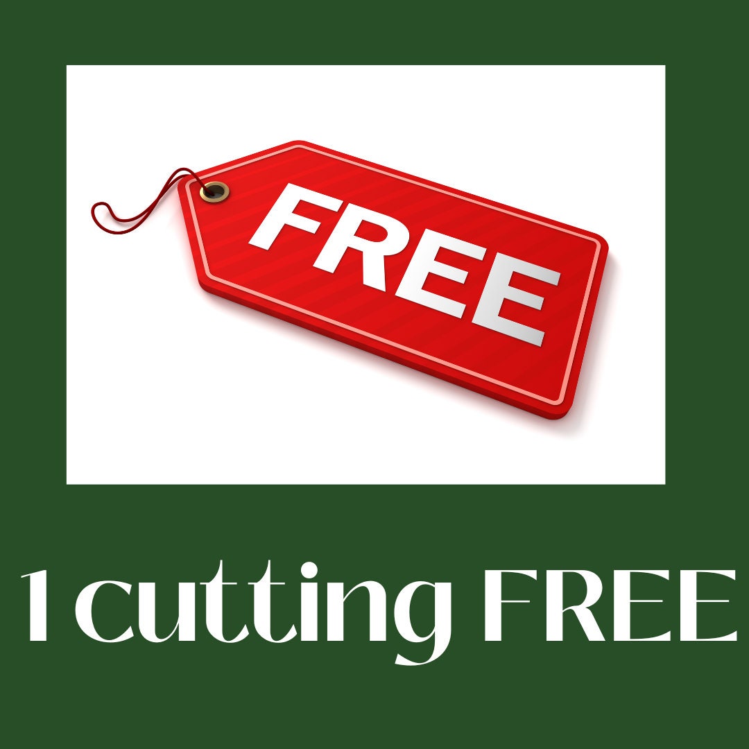 5 + 1 FREE Hybrid Willow Cuttings is One of the Fastest Growing Tree. Free Shipping!!!!!!!! Green Garden Corner.