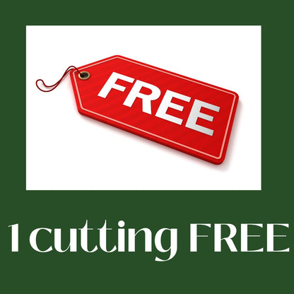 5 + 1 FREE Hybrid Willow Cuttings is One of the Fastest Growing Tree. Free Shipping!!!!!!!! Green Garden Corner.