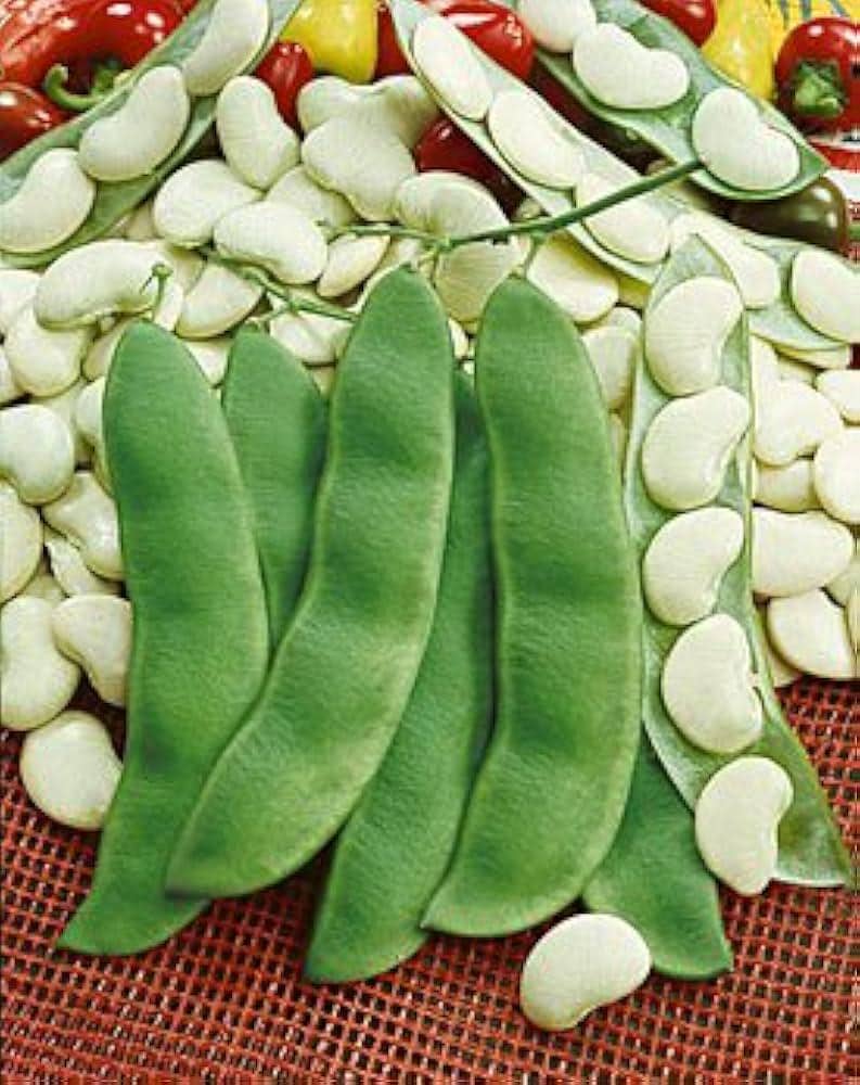 Lima Butter Beans  | Vegetable Seeds | Creamy, dreamy, and full of goodness! | Green Garden Corner