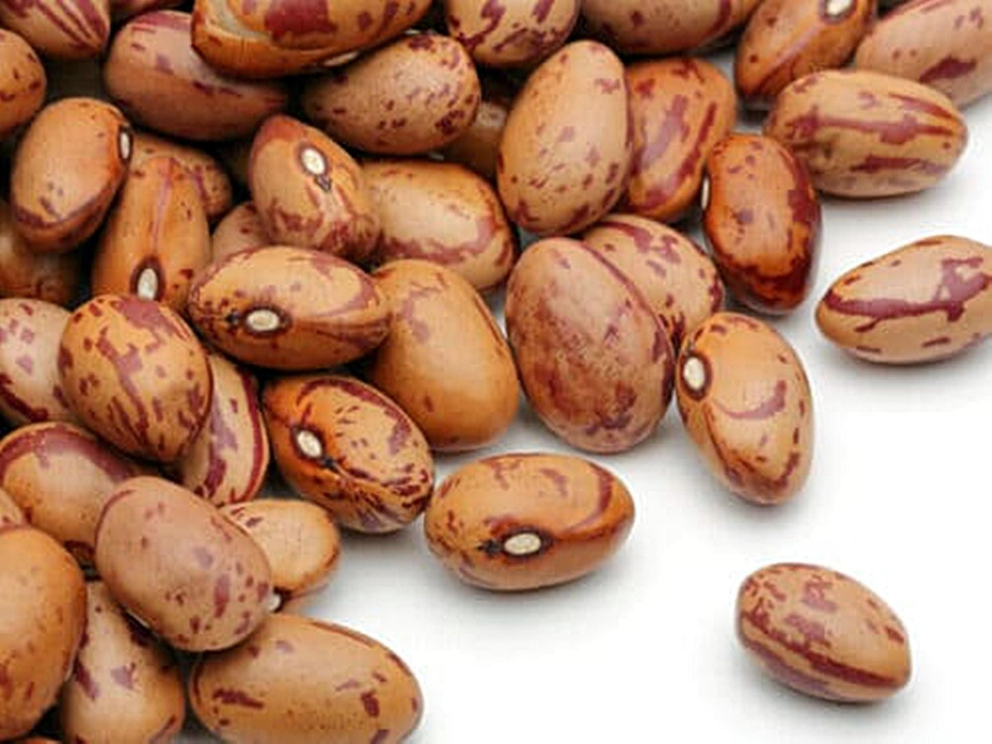 Pinto Beans   | Vegetable Seeds | Small white, Creamy texture and nutty flavor and full of goodness! | Green Garden Corner