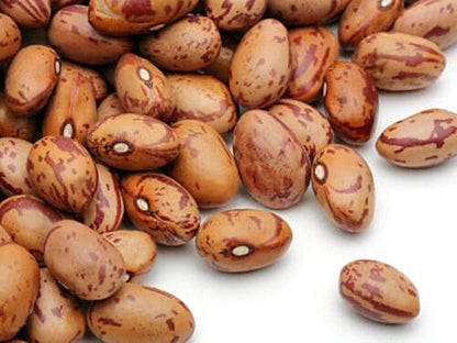 Pinto Beans   | Vegetable Seeds | Small white, Creamy texture and nutty flavor and full of goodness! | Green Garden Corner
