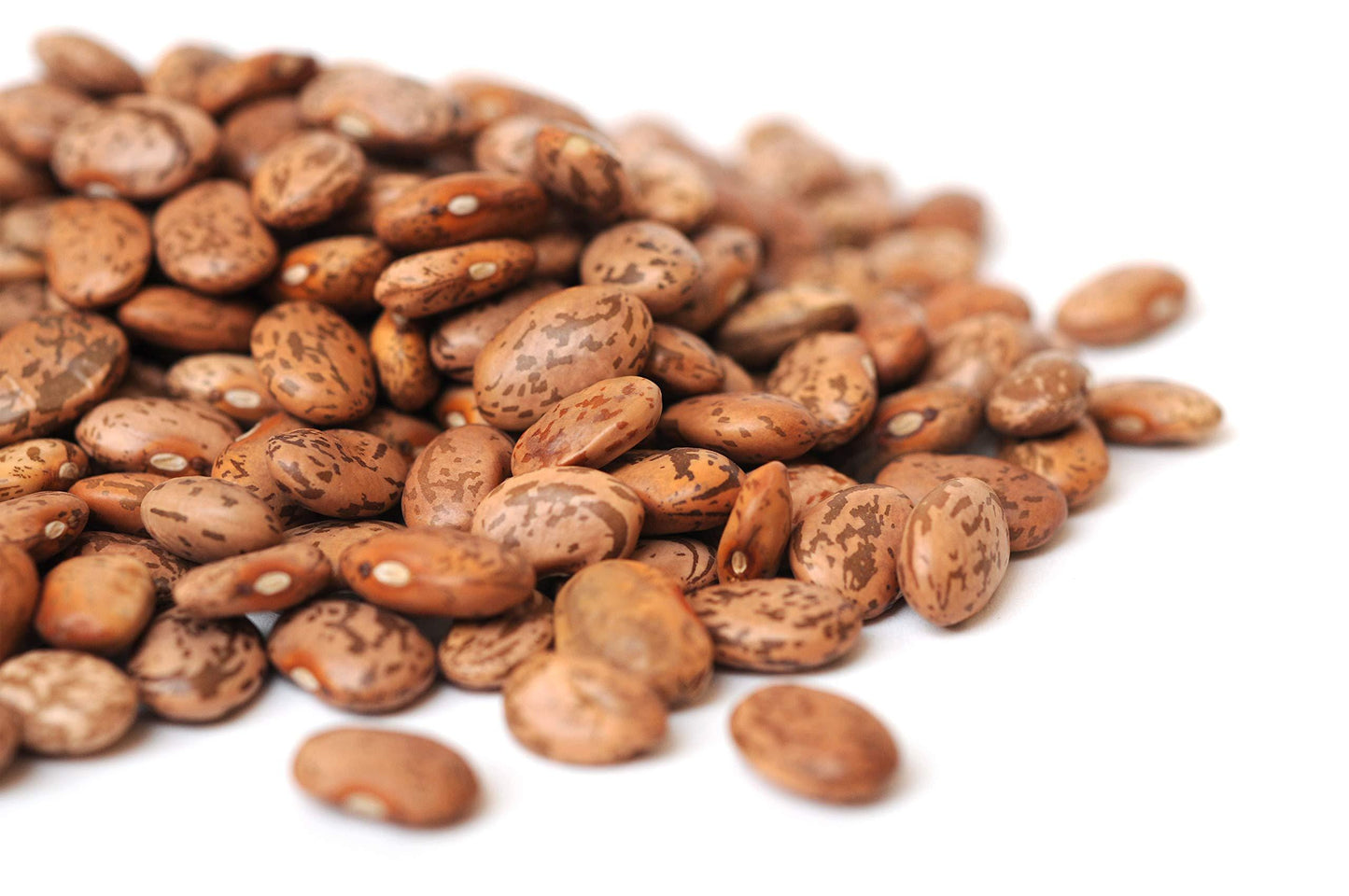 Pinto Beans   | Vegetable Seeds | Small white, Creamy texture and nutty flavor and full of goodness! | Green Garden Corner