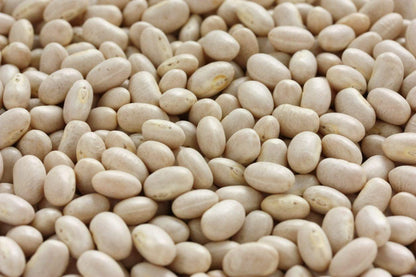 Navy Beans  | Vegetable Seeds | Creamy texture and nutty flavor and full of goodness! | Green Garden Corner